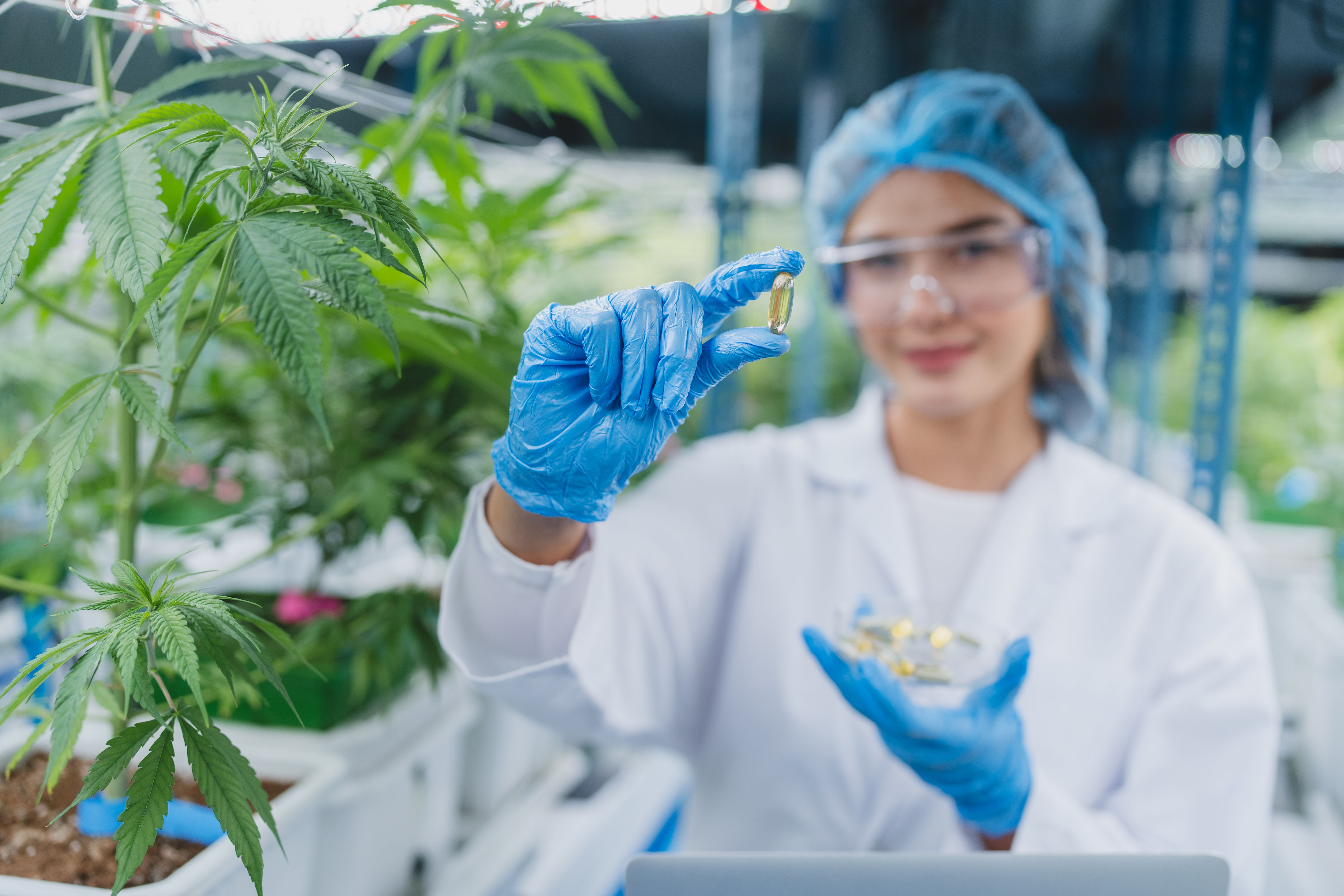 Cientista usando jaleco branco, luvas azuis e touca de proteção, segurando uma cápsula de óleo de CBD em um laboratório especializado em cannabis medicinal.