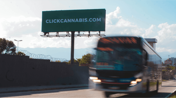 Imagem de um outdoor da Click Cannabis posicionado em uma avenida movimentada, reforçando a presença da empresa no cenário urbano.