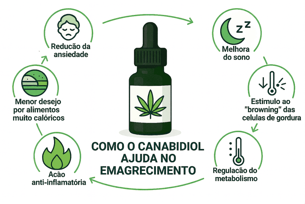 Como o canabidiol ajuda no emagrecimento 