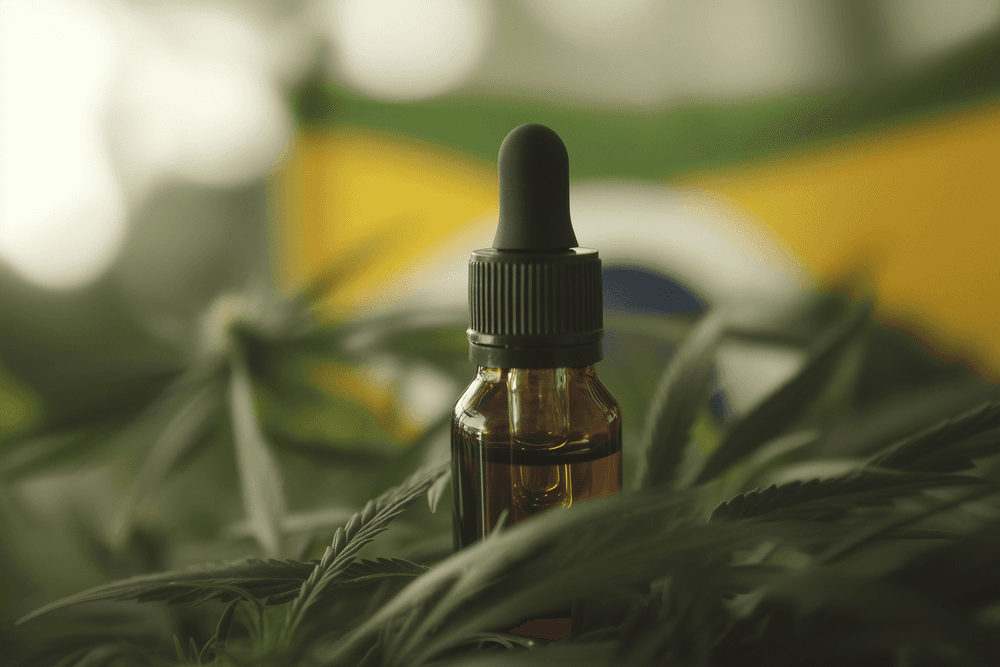 Cannabis medicinal - 10 dúvidas respondidas: Uso, legislação e seus benefícios