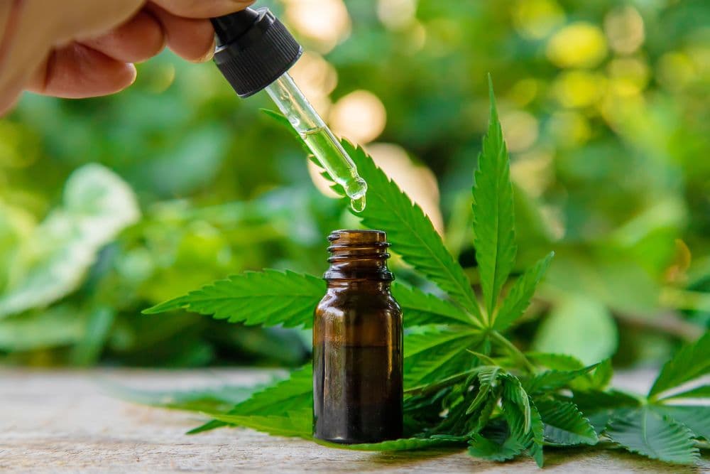 Cannabis Medicinal a longo prazo: Benefícios, riscos e o que diz a ciência