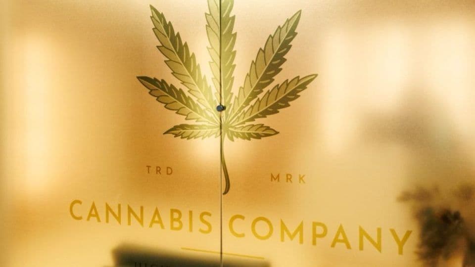 Curitiba inaugura a primeira farmácia especializada em cannabis medicinal do Brasil