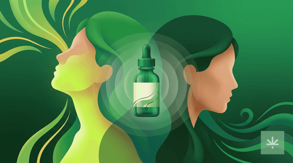 Canabidiol e Bipolaridade: O Que a Ciência Diz Até Agora cover image