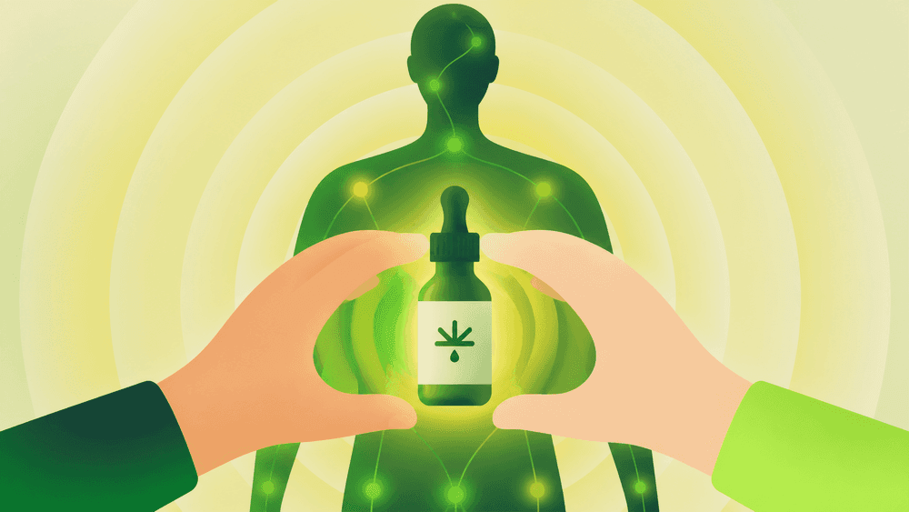 O que é CBD? Como funciona e por que é considerado um recurso natural terapêutico