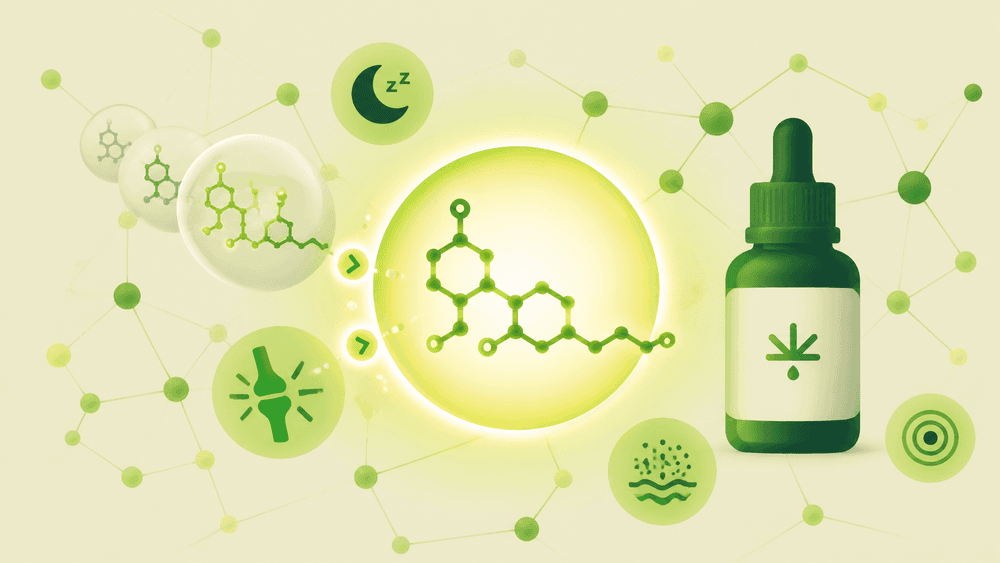 O que é CBN (canabinol)? Conheça seus potenciais benefícios e aplicações
