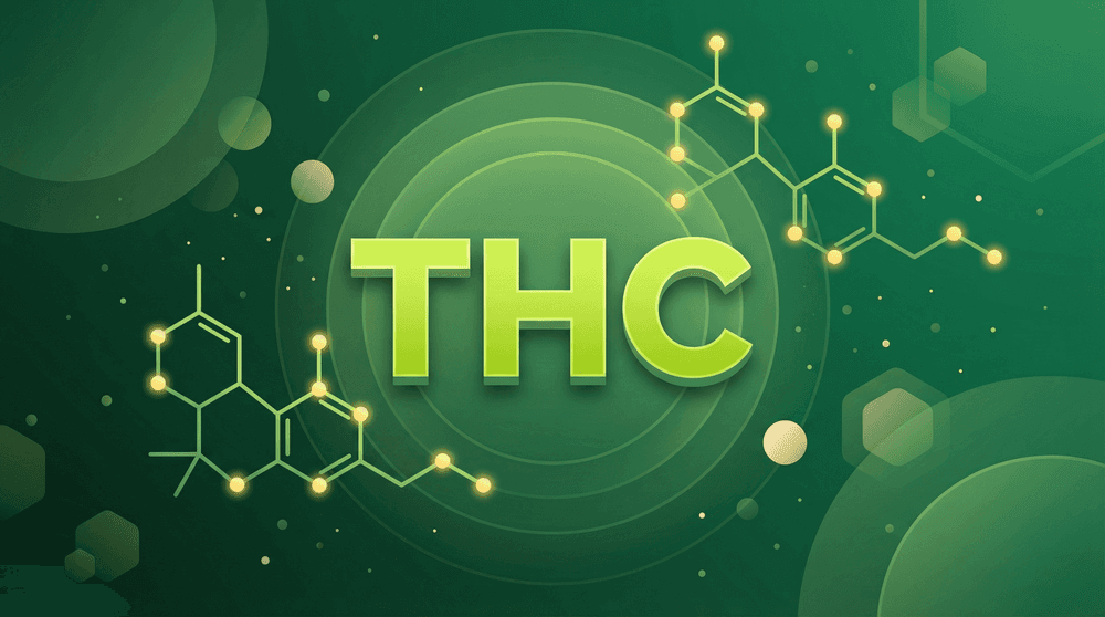THC: O Que É, Como Age e Para Que Serve