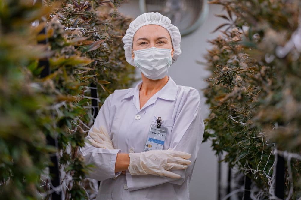 THC vs. CBD: Entenda as diferenças, usos e benefícios