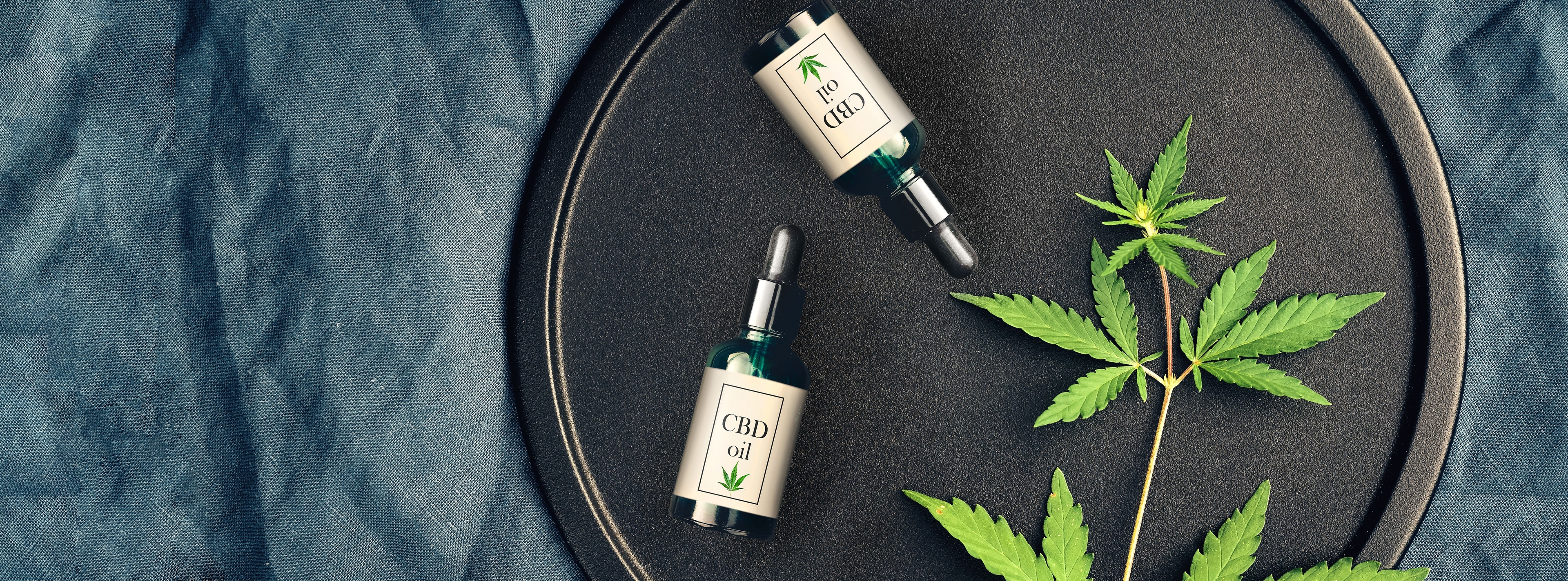 Frascos de óleo de CBD com rótulos identificando o produto e uma folha de cannabis.