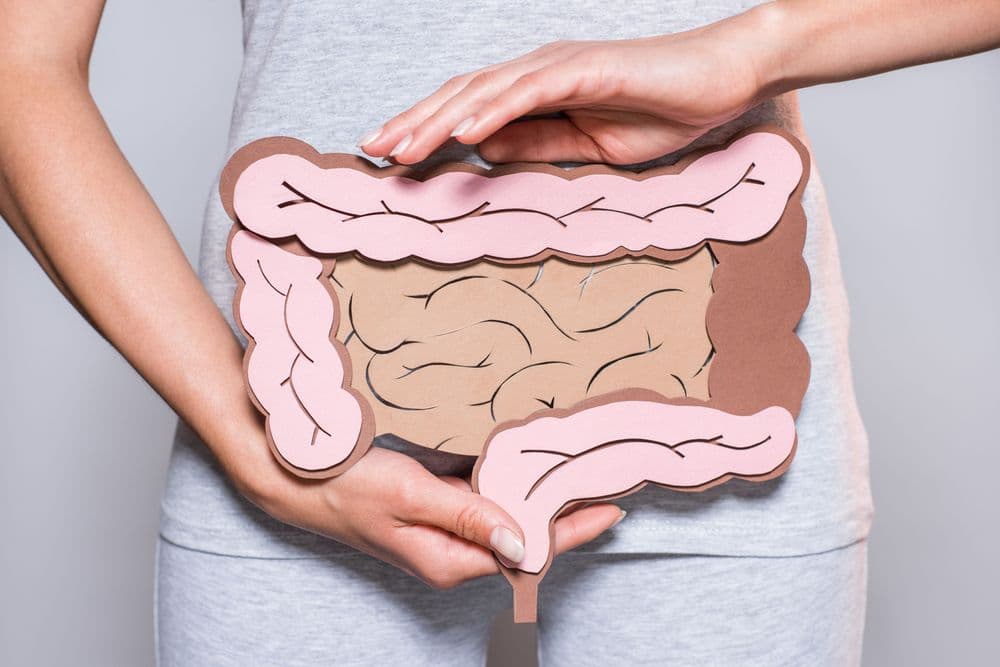 Canabidiol e Flora Intestinal: Um novo caminho para a saúde sistêmica