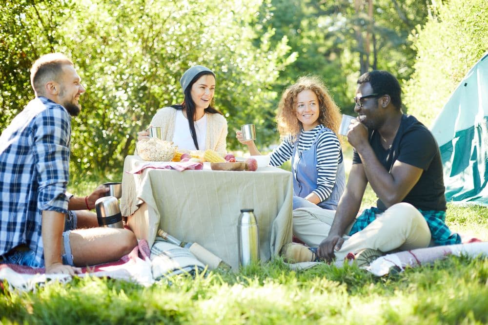 Grupo de amigos sorrindo em piquenique ao ar livre, representando bem-estar e conexões saudáveis.