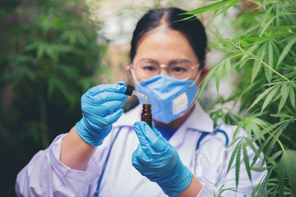 Conhecimento: a chave para um cuidado seguro com a cannabis medicinal