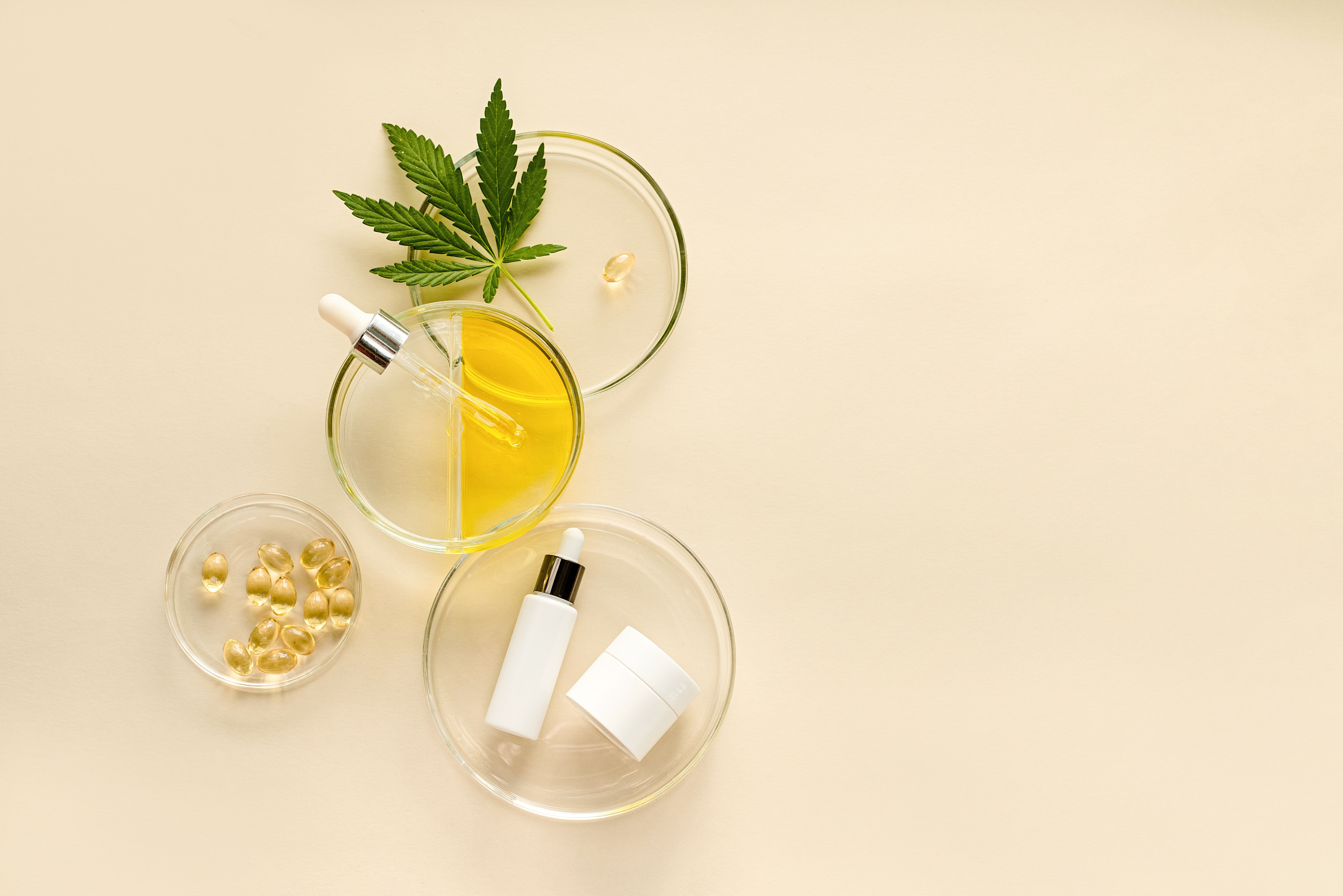 Produtos com óleo de CBD e cápsulas naturais sobre fundo bege, representando o uso do canabidiol em cosméticos e suplementos de bem-estar.