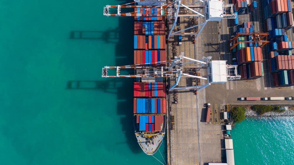 Importação de Cannabis Medicinal