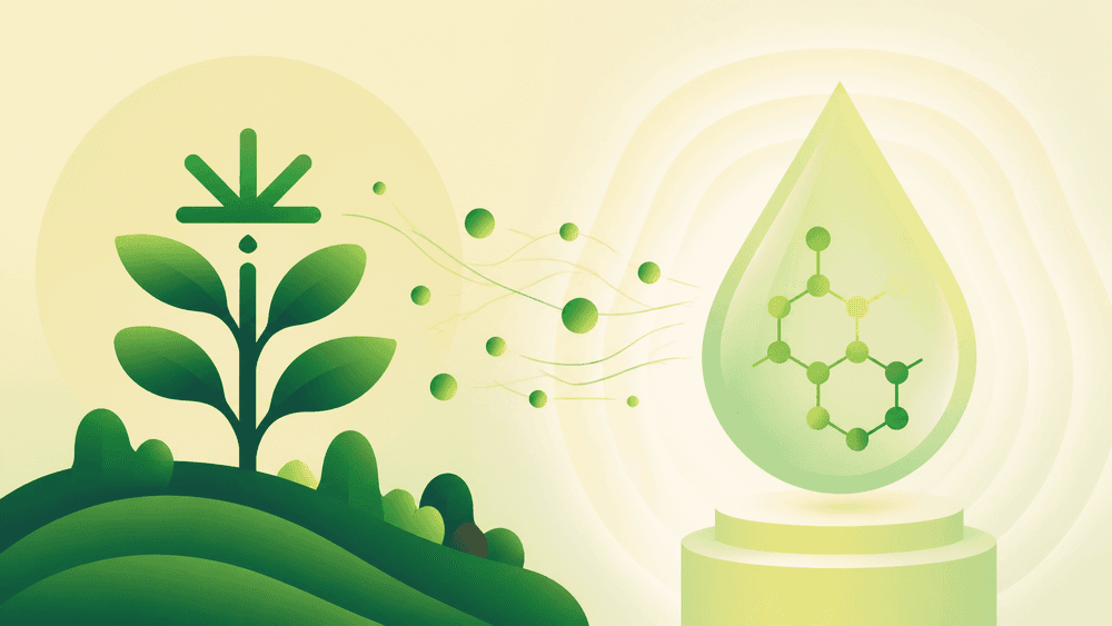 Qual a diferença entre cannabis e canabidiol (CBD)?