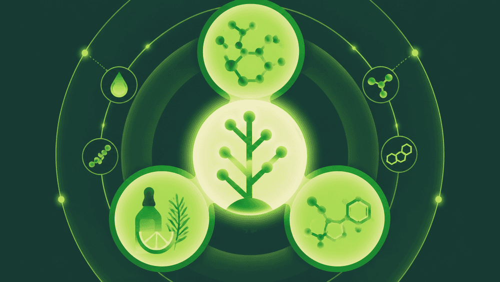 Composição química da cannabis