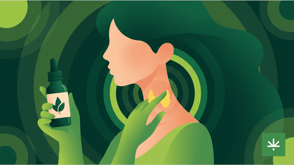 Canabidiol e Tireoide: O Que a Ciência Diz Sobre o Uso do CBD