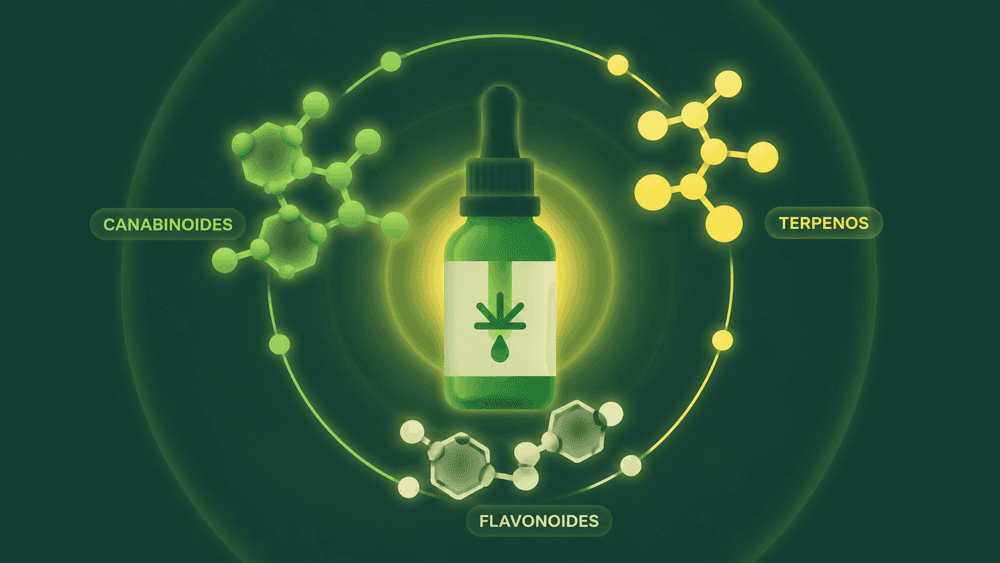 Efeito entourage: entenda a ação conjunta dos compostos da cannabis medicinal cover image