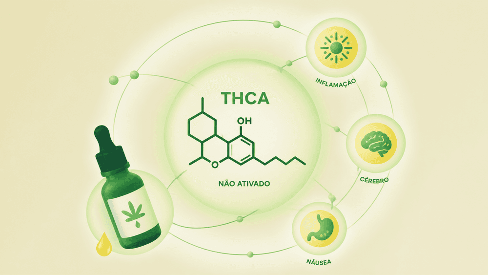 THCA: aplicações terapêuticas em estudo e diferenças em relação ao THC cover image