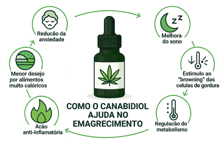 Como o canabidiol ajuda no emagrecimento