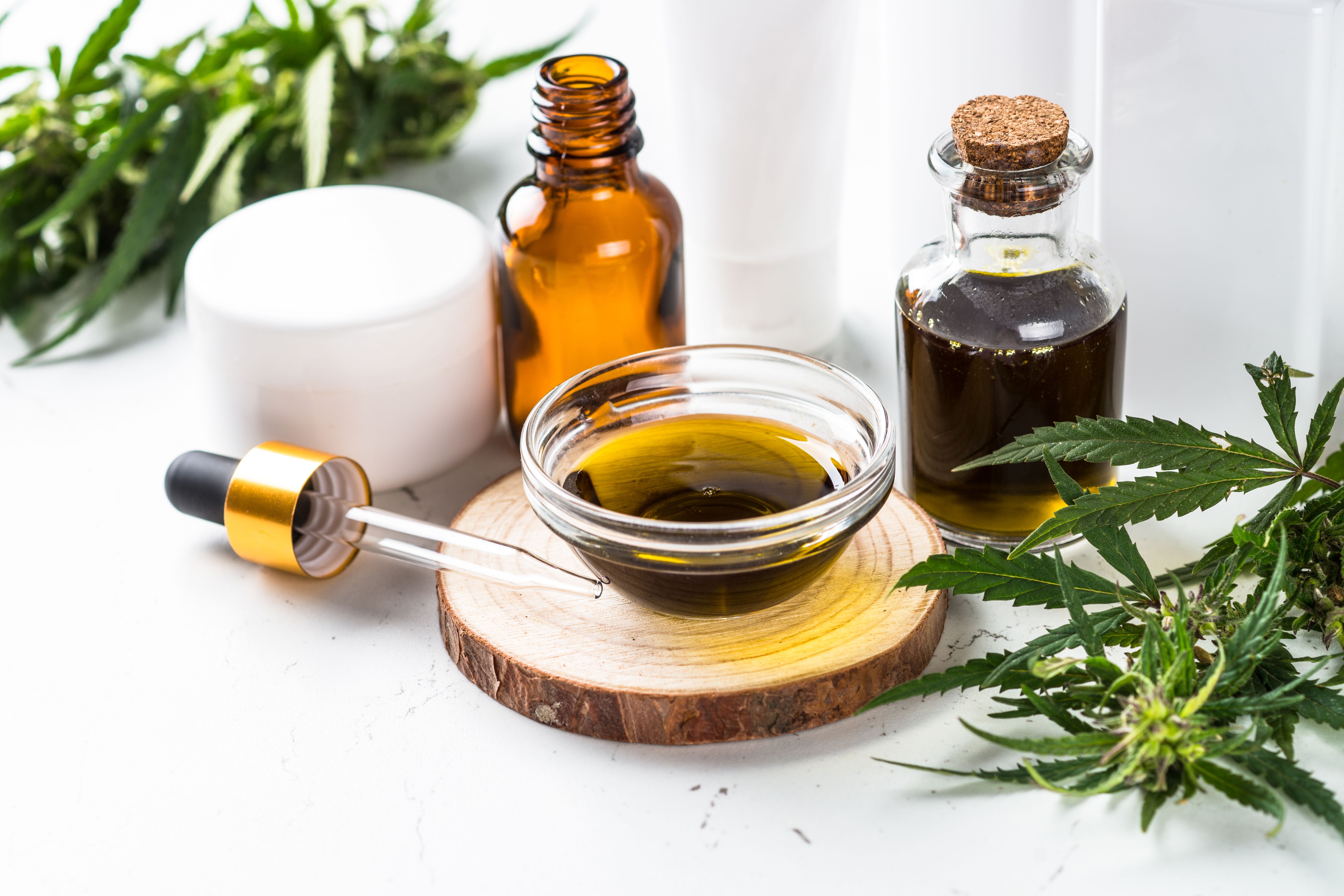 Conjunto de produtos à base de CBD, ao fundo, há folhas frescas de Cannabis sativa.