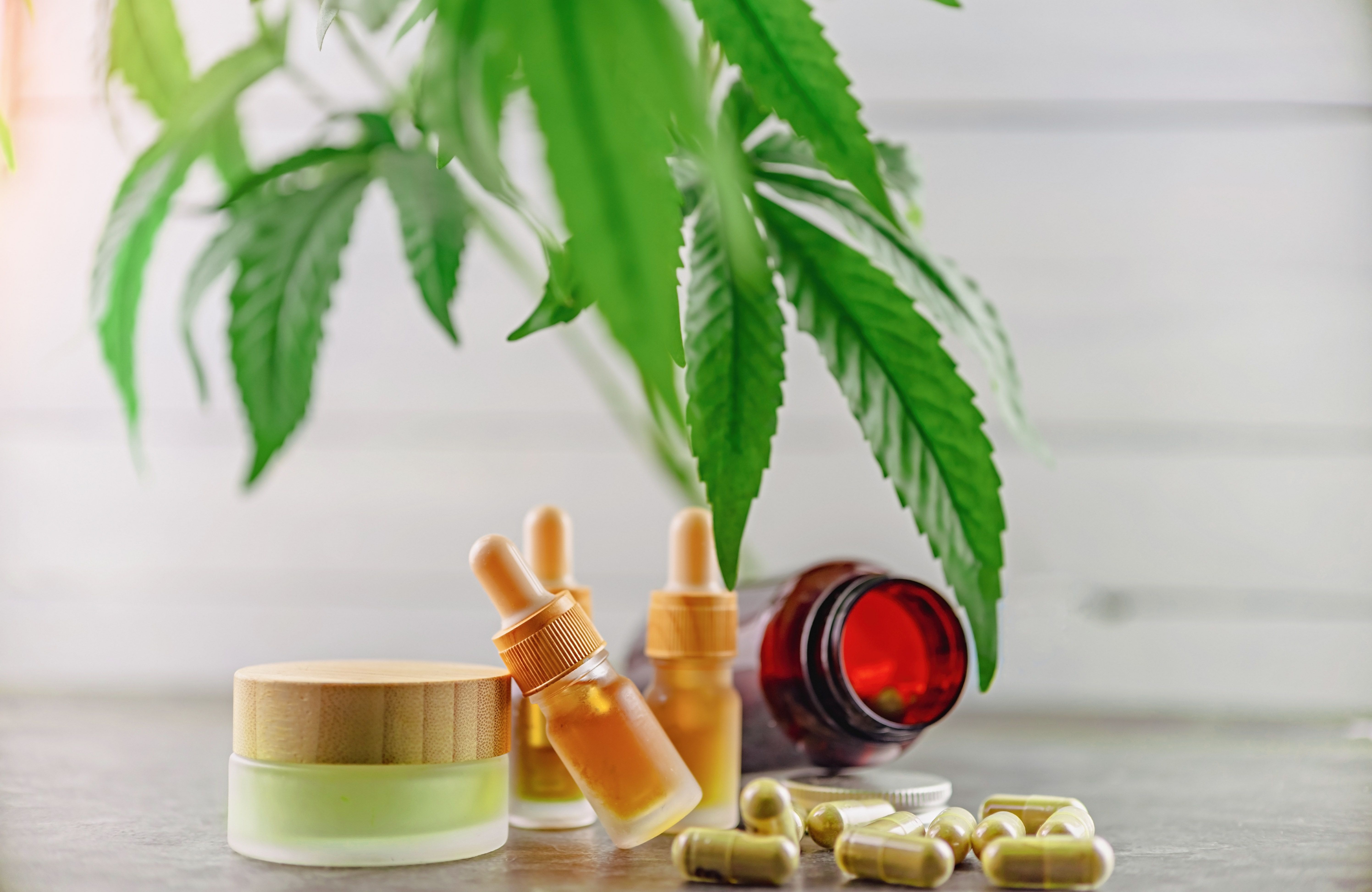 Produtos de cannabis medicinal com óleos, cápsulas e creme ao lado de folhas de cannabis.