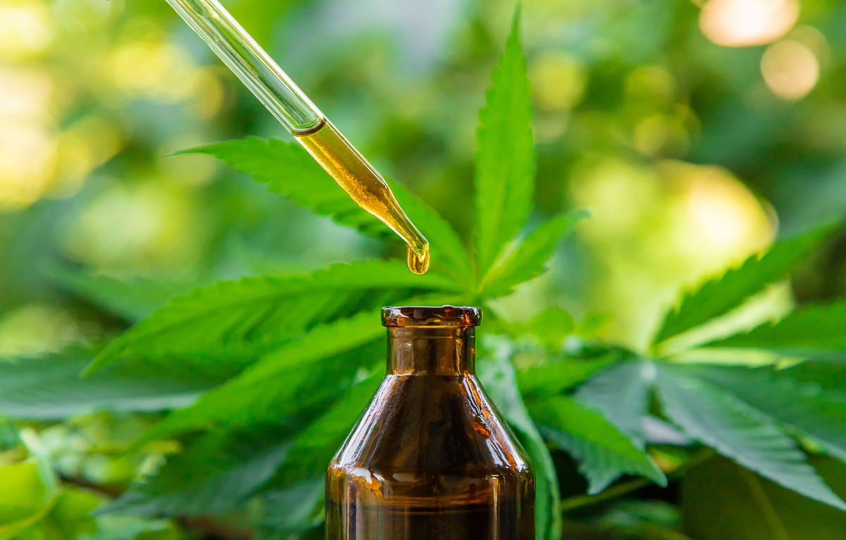 Óleo de Cannabis: O que é e para que serve
